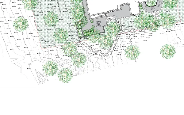 Contour detail carried through dense tree canopy, classified by hand from a point cloud