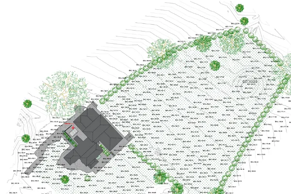Topographic survey drawing with contour lines, spot levels and tree canopy, drafted from client field data